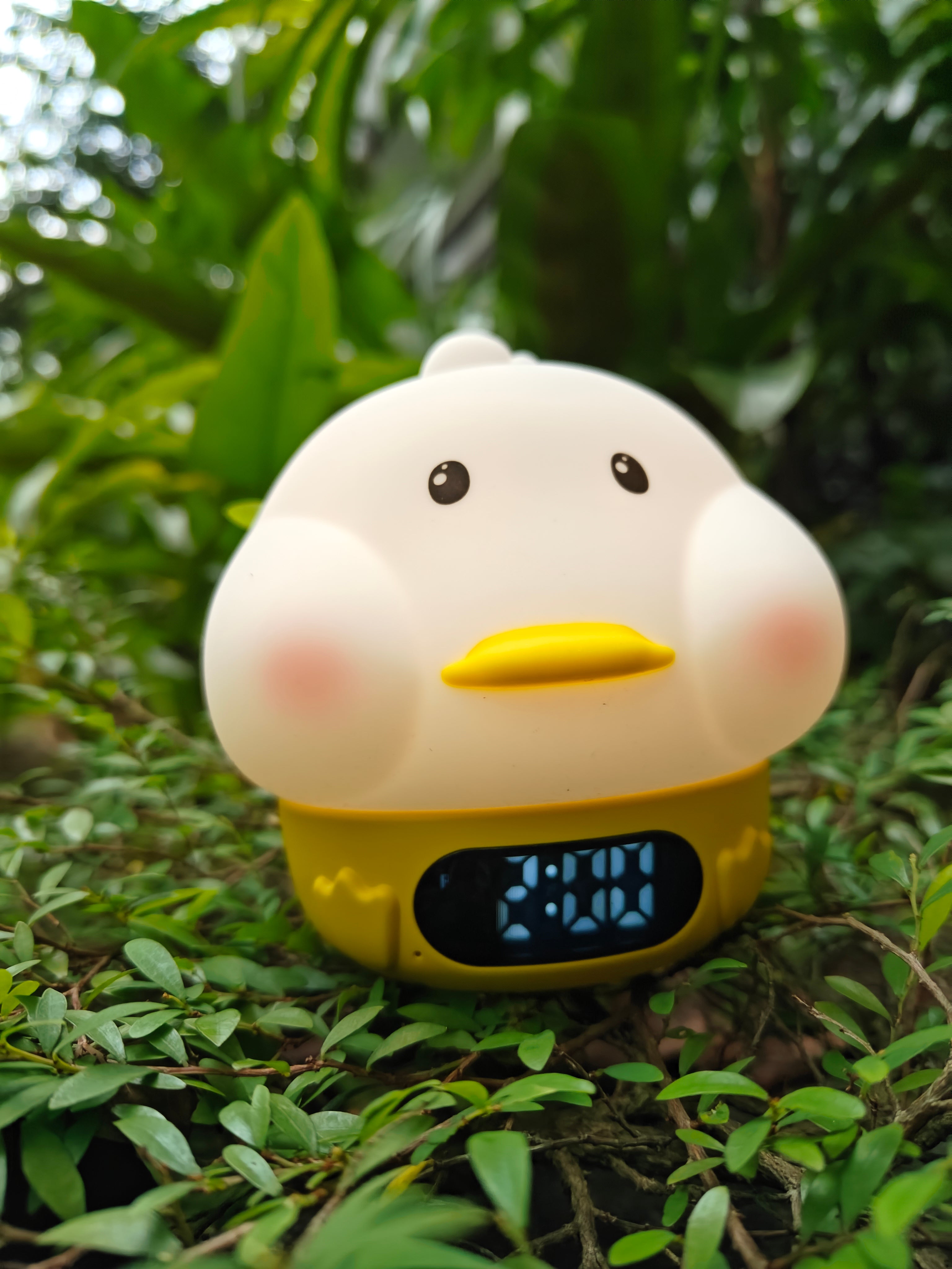 Duck Lamp/Alarm